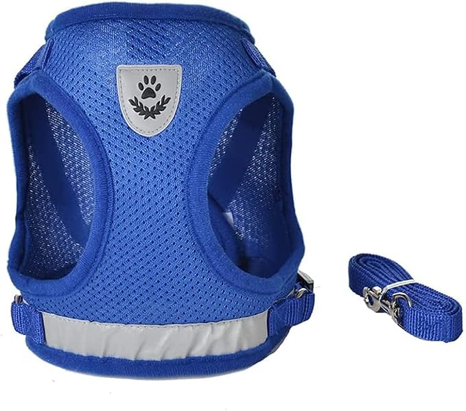 FEimaX Dog Harness and Leash Set - Image 4