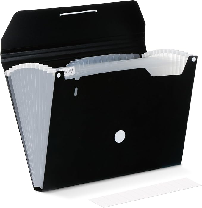 Comix Accordion File Organizer, 13 Pocket, A4/Letter Size Documents, Includes by Comix