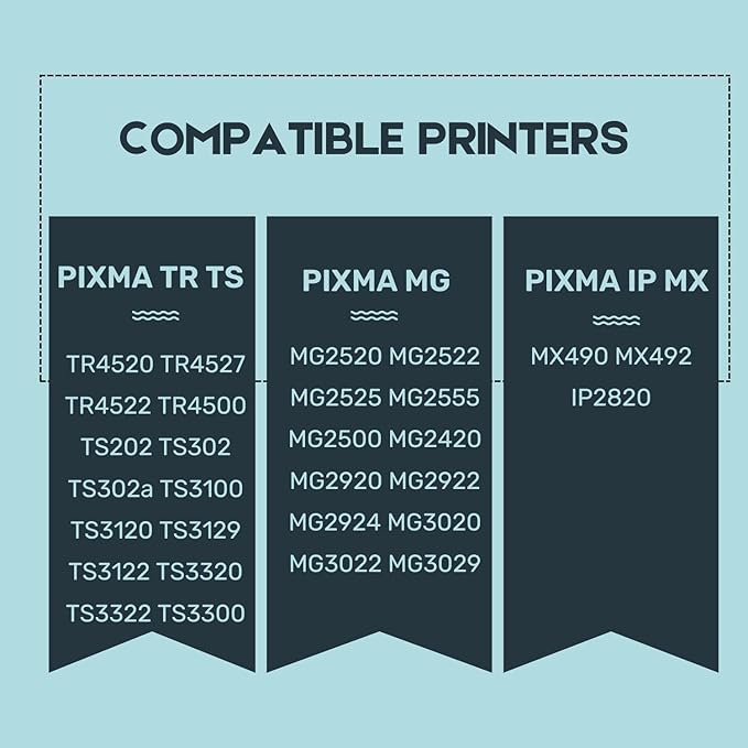 245XL Ink Cartridge Replacement for Canon 245XL Black Ink PG-245 Compatible with Canon Pixma MX490 MX492 MG2522 MG3022 MG2520 TS3100 TS3122 TS3300 TS3322 TR4522 Printer (2 Black Pack)-DeskLoop Office