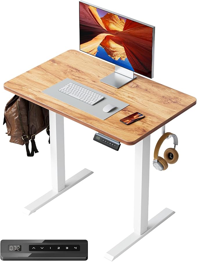 FEZIBO One-Piece Standing Desk Adjustable Height Stand up Home Office Desk, 32x24 Inch Electric Standing Computer Desk, with 4 Memory Presets, Fixable casters, Light Rustic-DeskLoop Office