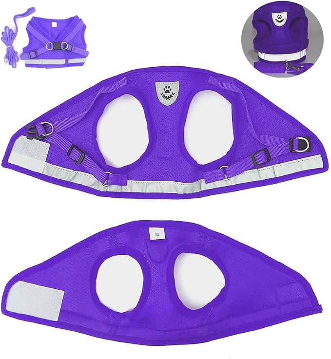 FEimaX Dog Harness and Leash Set - Image 6