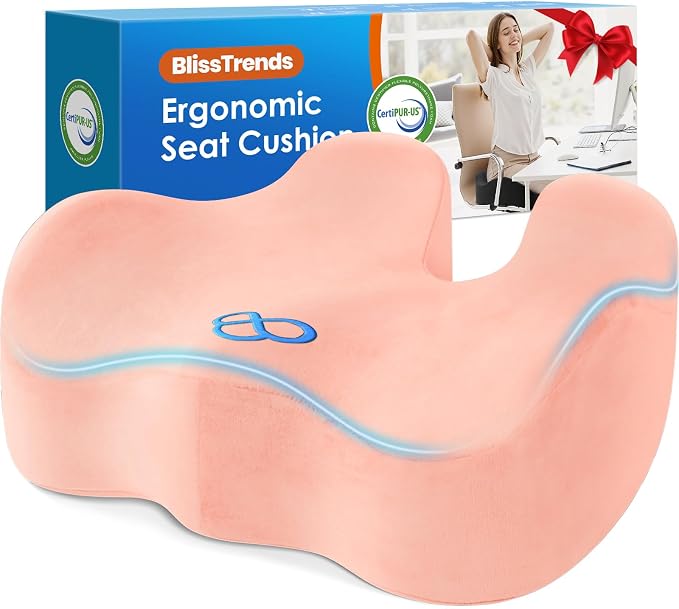 BlissTrends Extra Thick Seat Cushion by BlissTrends