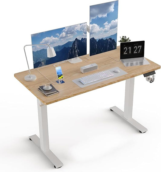 48 * 24 Electric Standing Desk, Adjustable Height Sit Stand Up Desk, Motorized Home Office Computer Gaming Workstation Desk-DeskLoop Office