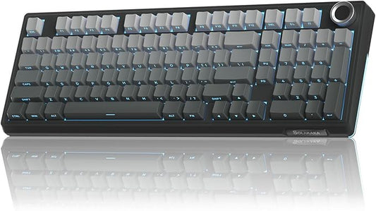 KI99 Pro 96% Wireless Mechanical Keyboard, RGB Gaming Keyboard, Hot-Swappable Pre-Lubed Switches, Gasket Structure Creamy Keyboards for Gamer/PC/Laptop (Black)-DeskLoop Office