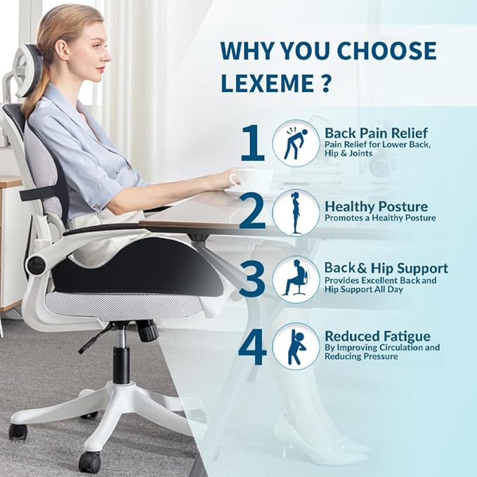 Lexeme X Large Memory Foam Seat Cushion Lumbar Support Pillow - Image 2
