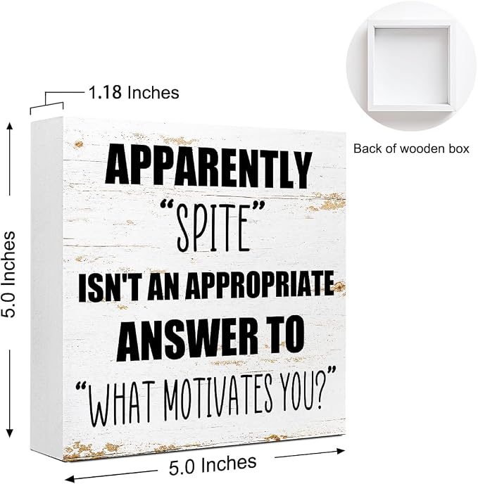 Office Wooden Box Sign Spite Isn't An Appropriate Answer 5x5x1 INCH Sign - Image 2
