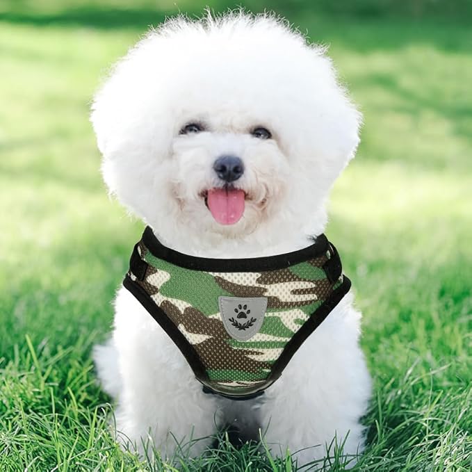 FEimaX Dog Harness and Leash Set - Image 7