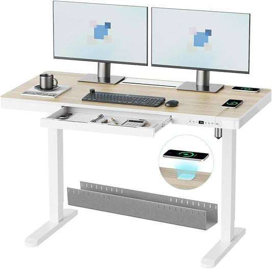 ERGO COLLECT Electric Standing Desk 48 Inch by ERGOCOLLECT
