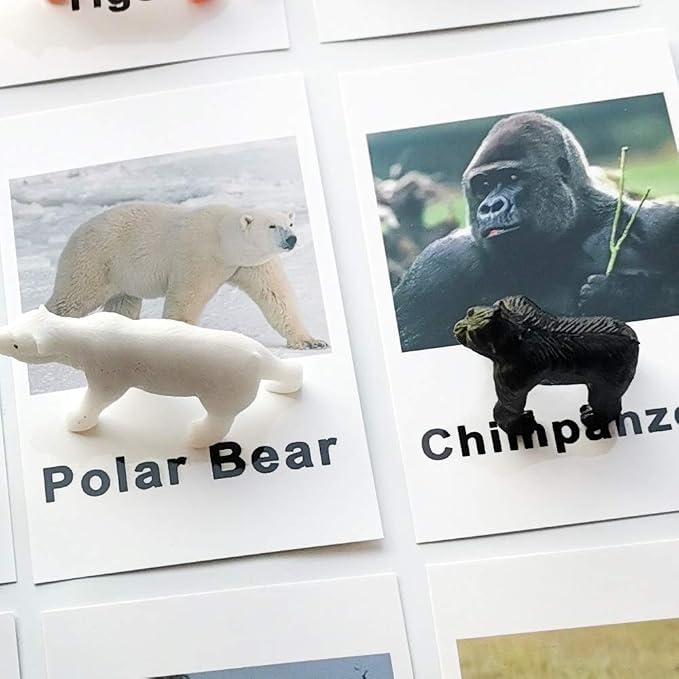 MEROCO Montessori Animal Match - Image 5