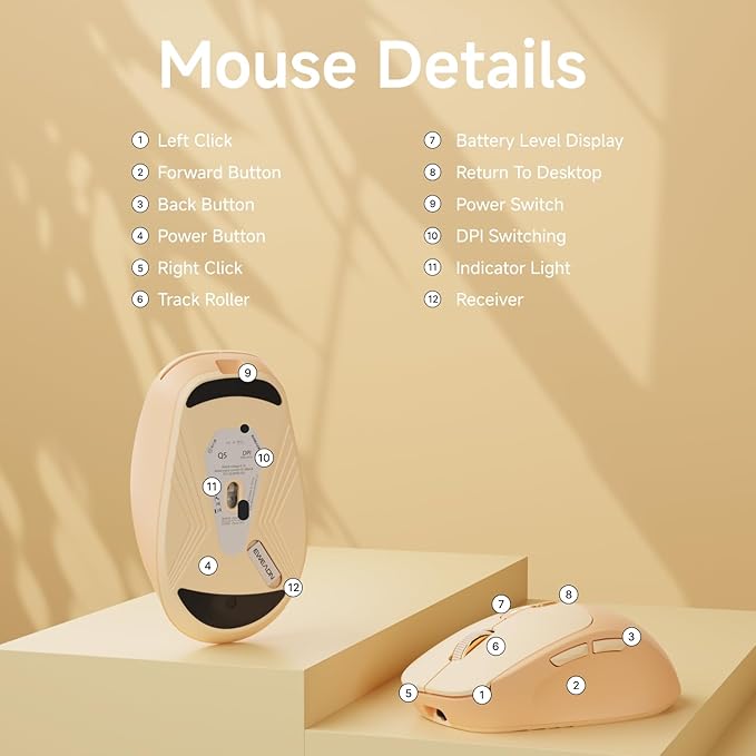 EWEADN Q5 Wireless Mouse, Bluetooth & 2.4G Quiet Computer Mouses with 1600 DPI, Battery Level Display, Ergonomic Office Mouse,6 Button Portable Cute Cordless Mice for Laptop/PC/Mac- Pink-DeskLoop Office