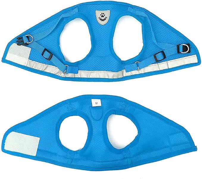 FEimaX Dog Harness and Leash Set - Image 6
