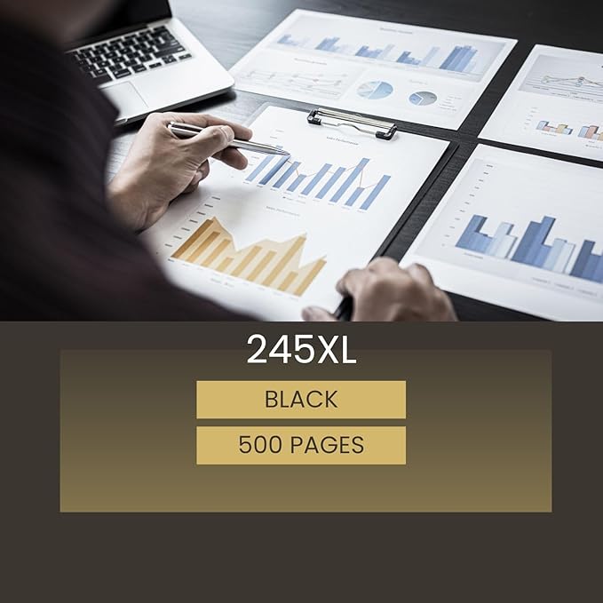 245XL Ink Cartridge Replacement for Canon 245XL Black Ink PG-245 Compatible with Canon Pixma MX490 MX492 MG2522 MG3022 MG2520 TS3100 TS3122 TS3300 TS3322 TR4522 Printer (2 Black Pack)-DeskLoop Office