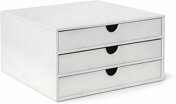 UnionBasic Document Organizer, 3-Drawer File Cabinet Document Storage Box by UnionBasic