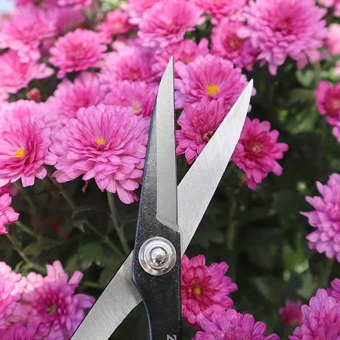 Zenport ZS104 Deluxe Scissors, 8 inches long, Horticulture & Craft Scissors - Image 3