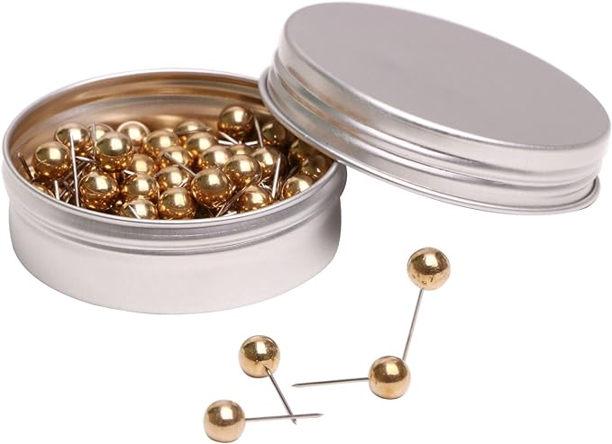 Tupalizy 100PCS 1/4 Inch Small Round Head Map Tacks Pins by Tupalizy
