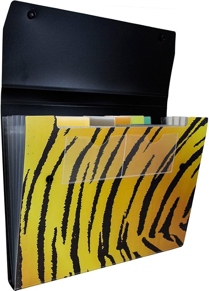 JAM PAPER Accordion Folders by JAMPaper