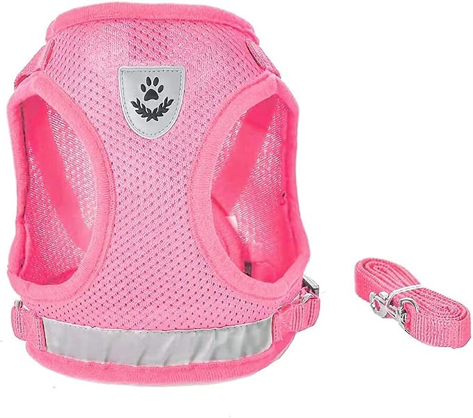 FEimaX Dog Harness and Leash Set - Image 3