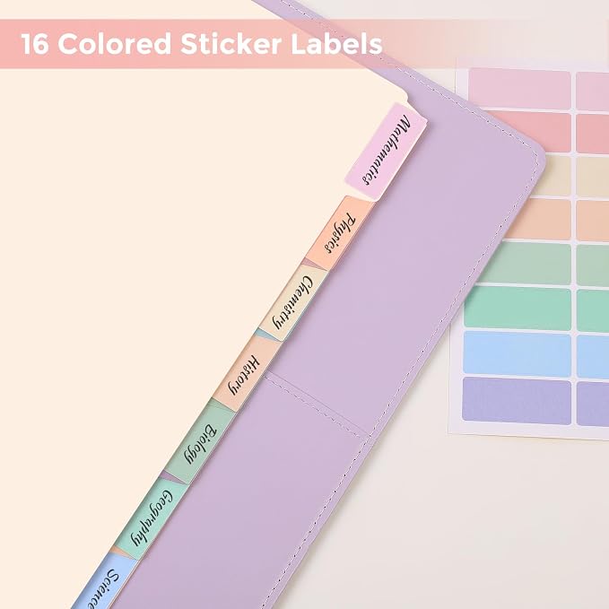 SKYDUE Plastic 8-Tab Dividers fit Letter Size, Pastel Color | 1 Set, Big Tab - Image 5