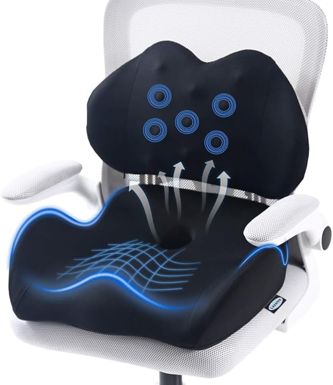 Lexeme X Large Memory Foam Seat Cushion Lumbar Support Pillow by Lexeme