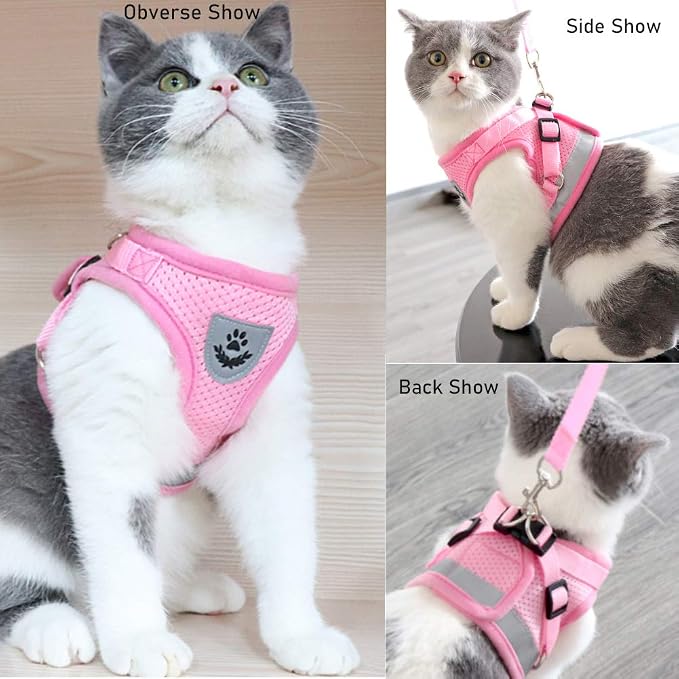 FEimaX Dog Harness and Leash Set - Image 6