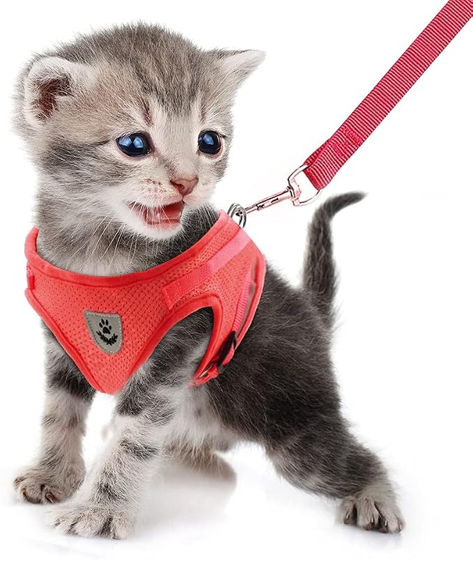 FEimaX Dog Harness and Leash Set - Image 2