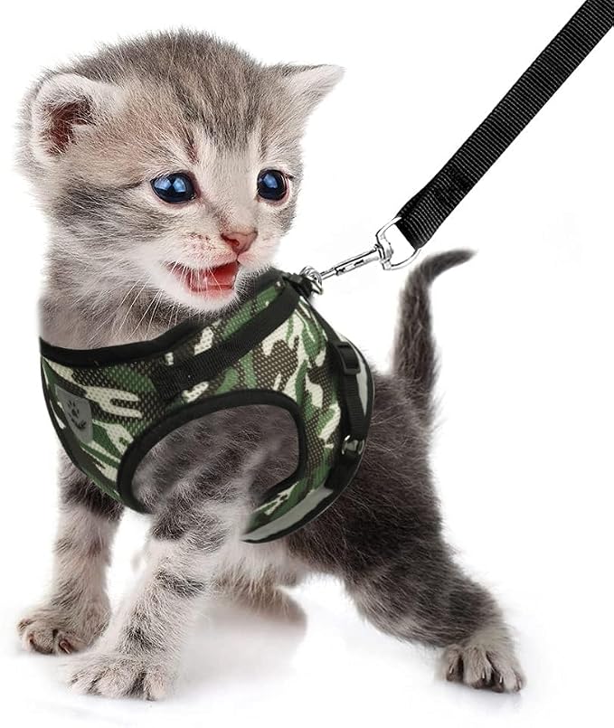 FEimaX Dog Harness and Leash Set - Image 2