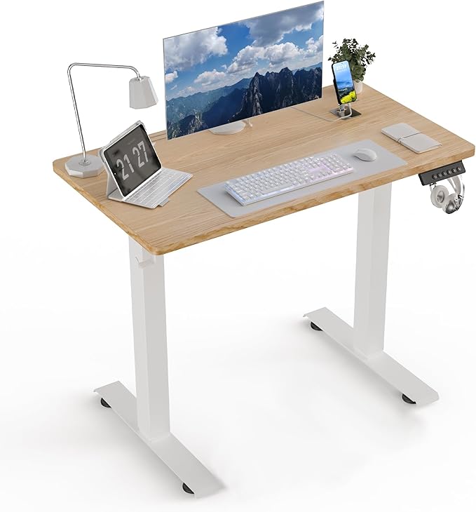 35 * 20 Electric Standing Desk, Adjustable Height Sit Stand Up Desk, Motorized Home Office Computer Gaming Workstation Desk-DeskLoop Office