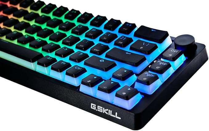 G.SKILL KM250 RGB 65% (67-Key) Mechanical Keyboard, PBT Dual Injection Keycap (Black)-DeskLoop Office