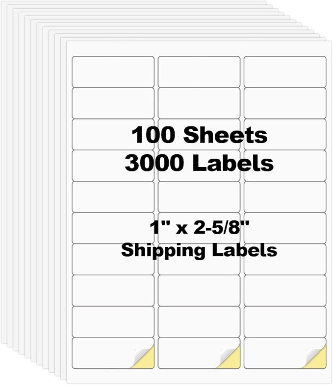 100 Sheets 3000 Pcs 30 Up 1" x2-5/8 Shipping Address Barcode Labels by Risepekt