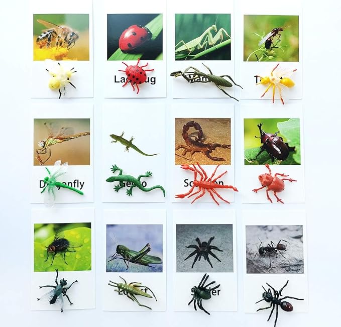 MEROCO Montessori Animal Match - Image 2