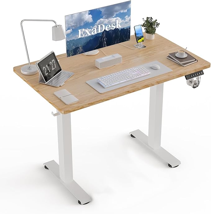40 * 24 Electric Standing Desk, Adjustable Height Sit Stand Up Desk, Motorized Home Office Computer Gaming Workstation Desk-DeskLoop Office