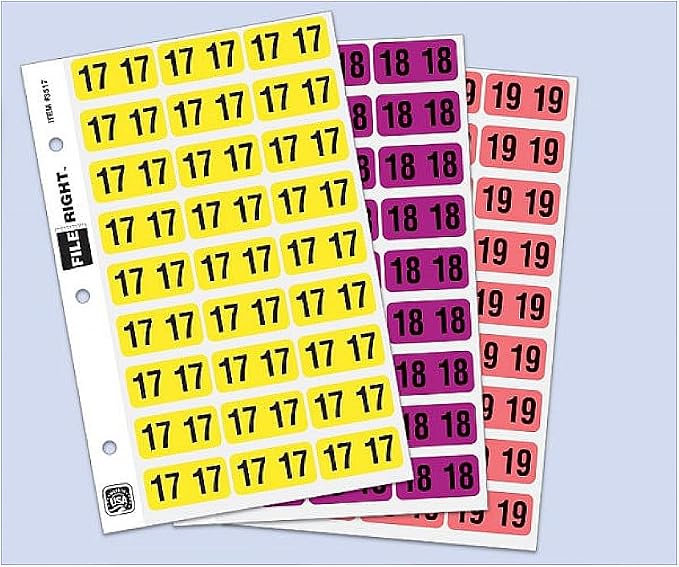 File Right 2022 Year Stickers/Labels Roll Color Coded Laminated 500 Labels | - Image 2