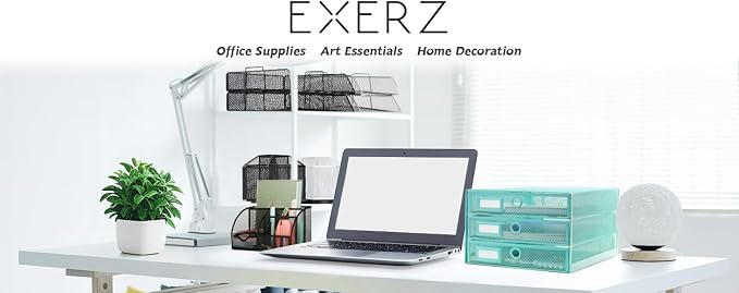 Exerz Paper Sorter 3 Drawer Wire Mesh A4 / Desk Multifunctional Desk - Image 2