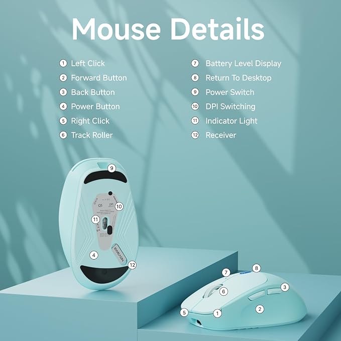 EWEADN Q5 Wireless Mouse, Bluetooth & 2.4G Quiet Computer Mouses with 1600 DPI, Battery Level Display, Ergonomic Office Mouse,6 Button Portable Cute Cordless Mice for Laptop/PC/Mac- Blue-DeskLoop Office