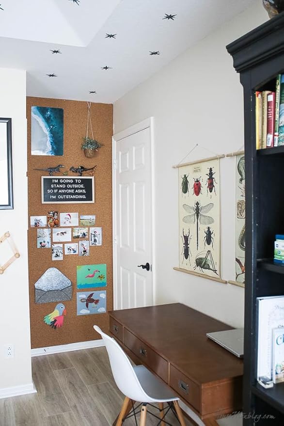 Manton Cork Premium Cork Roll - 4' x 24' x 1/2", 100% Natural Facing Grade Material for Bulletin Boards, Decorative Photo and Message Push Pin Displays - Perfect for Home, School, and Office-DeskLoop Office