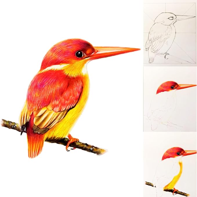 80pcs Drawing Kit Sketching Set Art Sketch Supplies Coloring pencils Kit 48 - Image 5