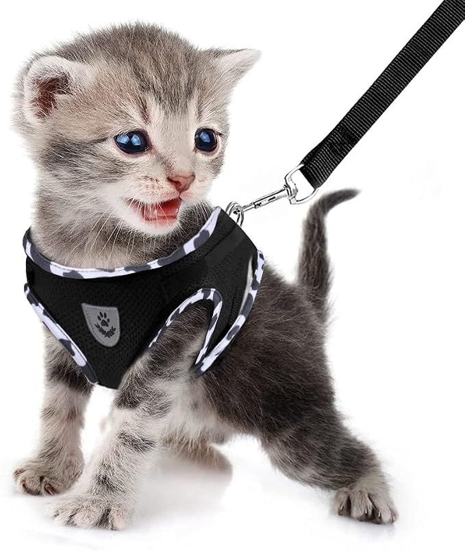 FEimaX Dog Harness and Leash Set - Image 2