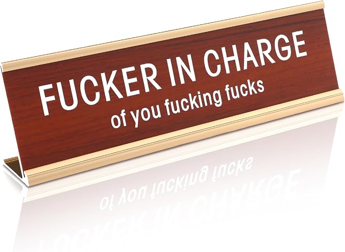 Weysat Funny Desk Signs for Office fun Office Accessories Novelty Nameplate by Weysat