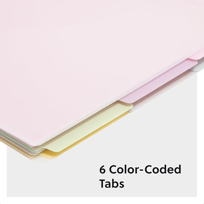 Smead Poly Project Organizer, 6 Tabs, 12 Pockets, Letter Size - Image 2