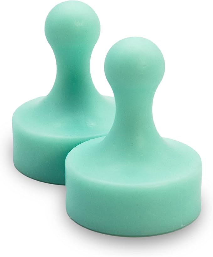 GLASSBOARD STUDIO Powerful Neodymium Magnets, Pawn-Shaped - Strong Fridge/Refrigerator and Whiteboard Magnet, Ideal for Office, Kitchen, Crafts - Rare Earth, Heavy Duty (2, Summer Mint)-DeskLoop Office