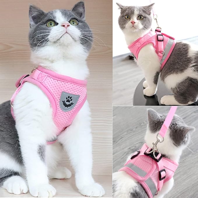 FEimaX Dog Harness and Leash Set - Image 6