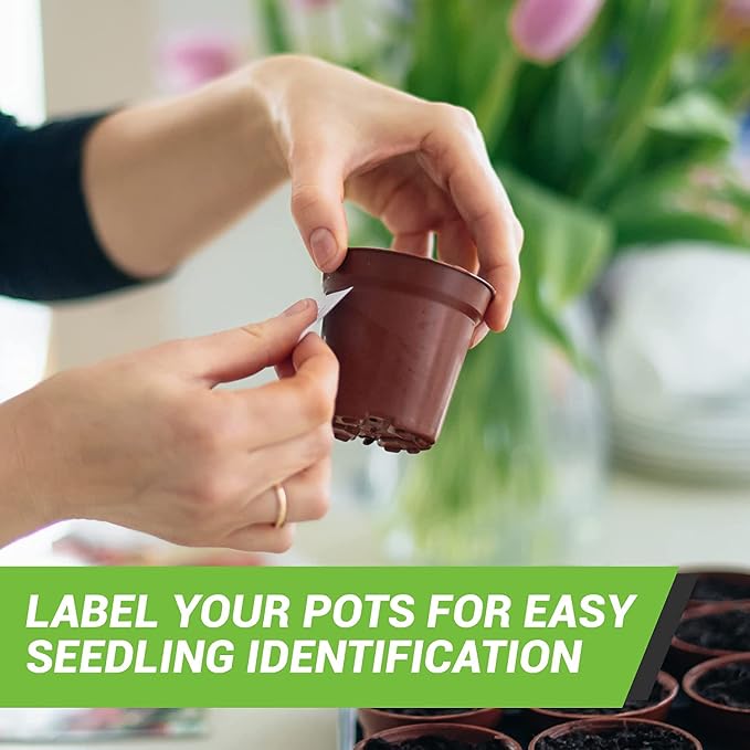 Royal Green Rectangular Sticker Color Coded Write on Labels - Image 5