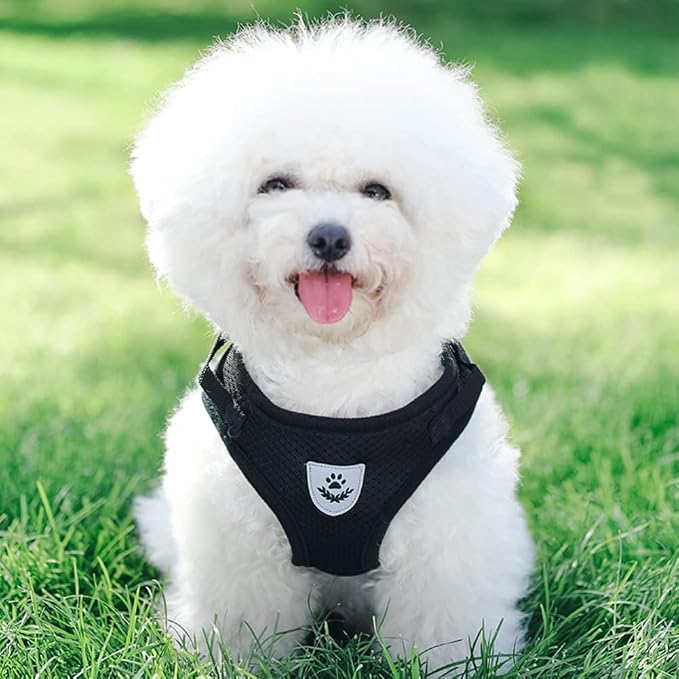 FEimaX Dog Harness and Leash Set - Image 7