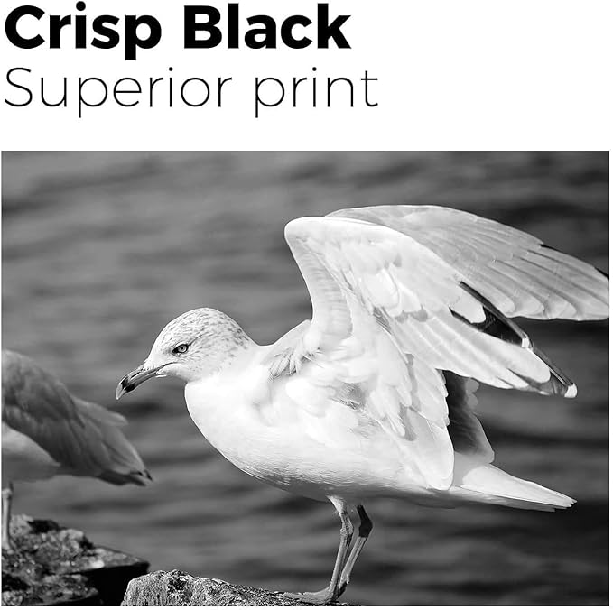 myCartridge 812XL Ink Cartridge Combo Pack Remanufactured for Epson 812 Ink Cartridges for Epson WF-7840 Ink Cartridges for Workforce Pro WF-7820 WF-7840 EC-C7000 Printer,4 Pack(BK/C/M/Y)-DeskLoop Office