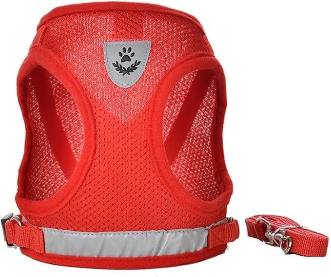 FEimaX Dog Harness and Leash Set - Image 3
