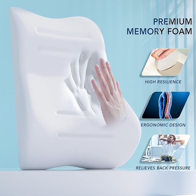 Lumbar Support Pillow for Office Chair & Car, Ergonomic Back Support Memory Foam Back Cushion with 3D Washable Cover, Relieves Back Pain for Driving, Gaming, Truck, Recliner-DeskLoop Office