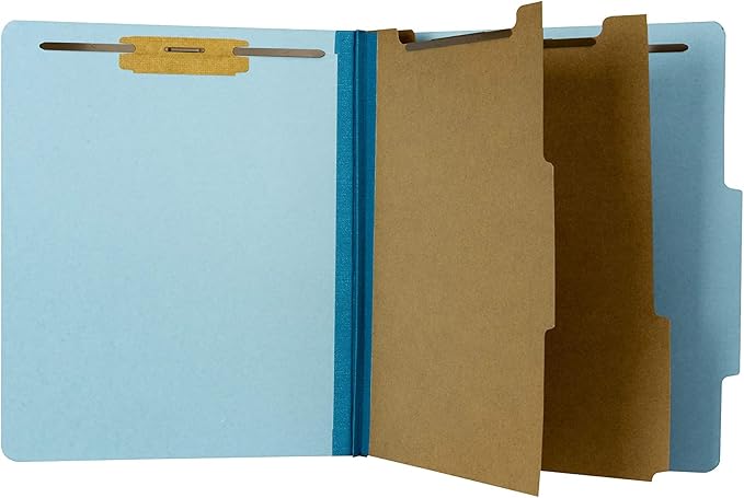 The File King Classification Folders 2 Dividers Letter Size by TheFileKing