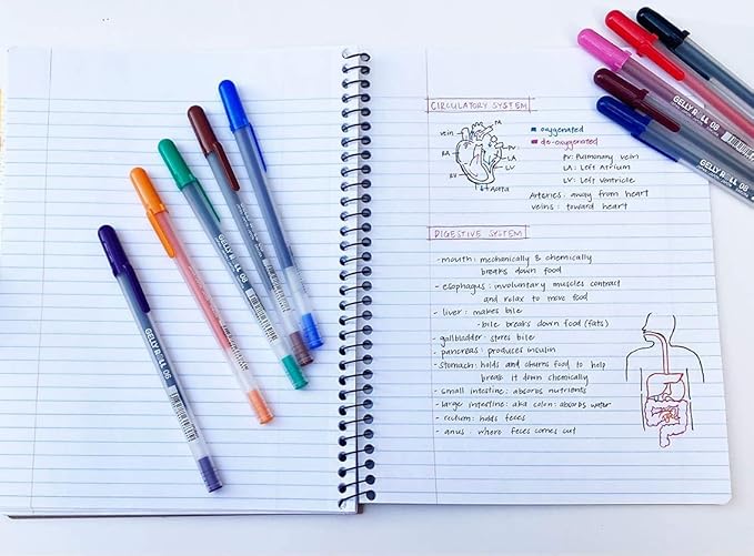 SAKURA Gelly Roll Gel Pens - Medium Point Ink Pen for Journaling, Art, or Drawing - Assorted Colored Ink - 10 Pack-DeskLoop Office