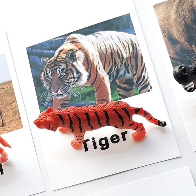 MEROCO Montessori Animal Match - Image 4