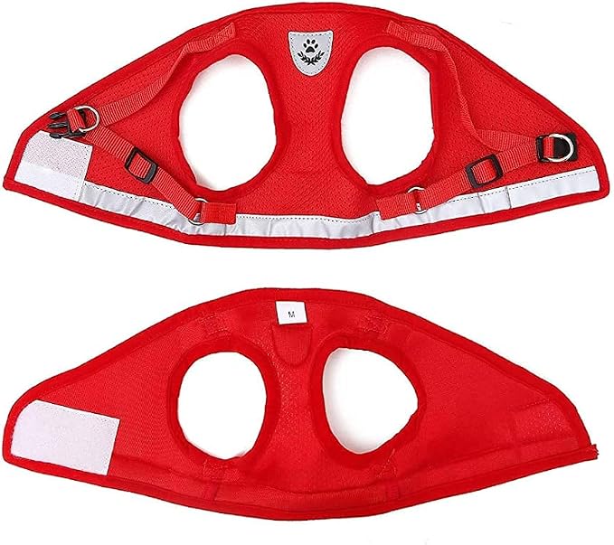 FEimaX Dog Harness and Leash Set - Image 6